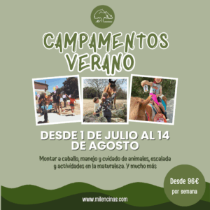 Campamentos Verano 2025