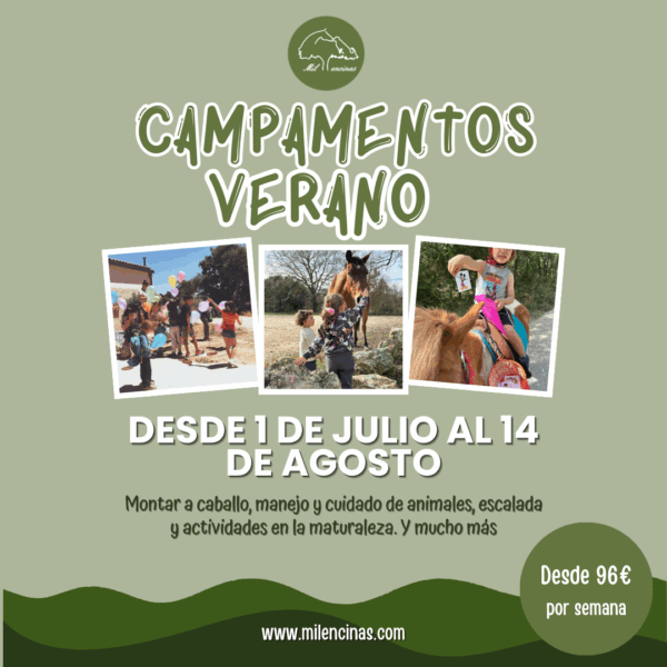 Campamentos Verano 2025