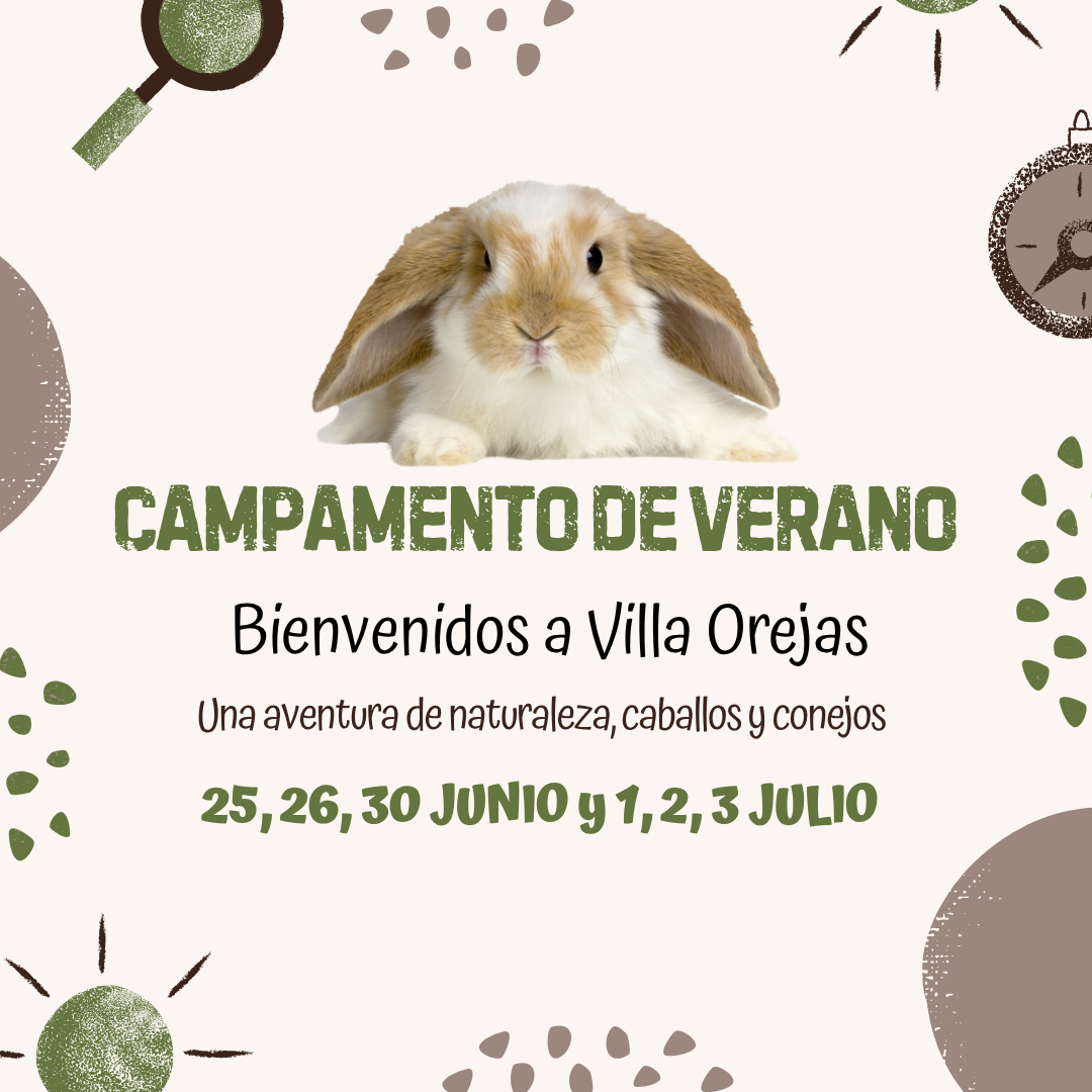 Campamento «Villa Orejas» (2 a 8 años)